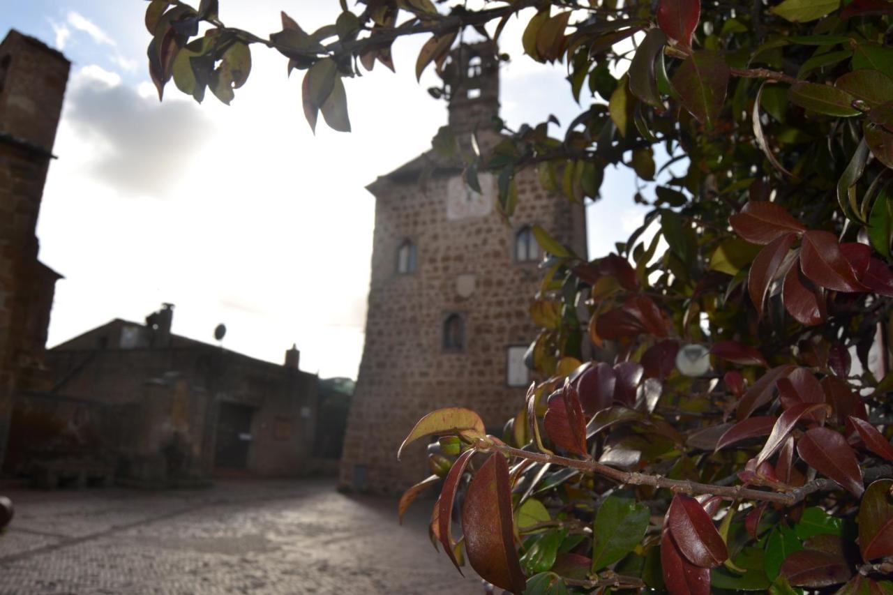 Notti Etrusche A Guest house *