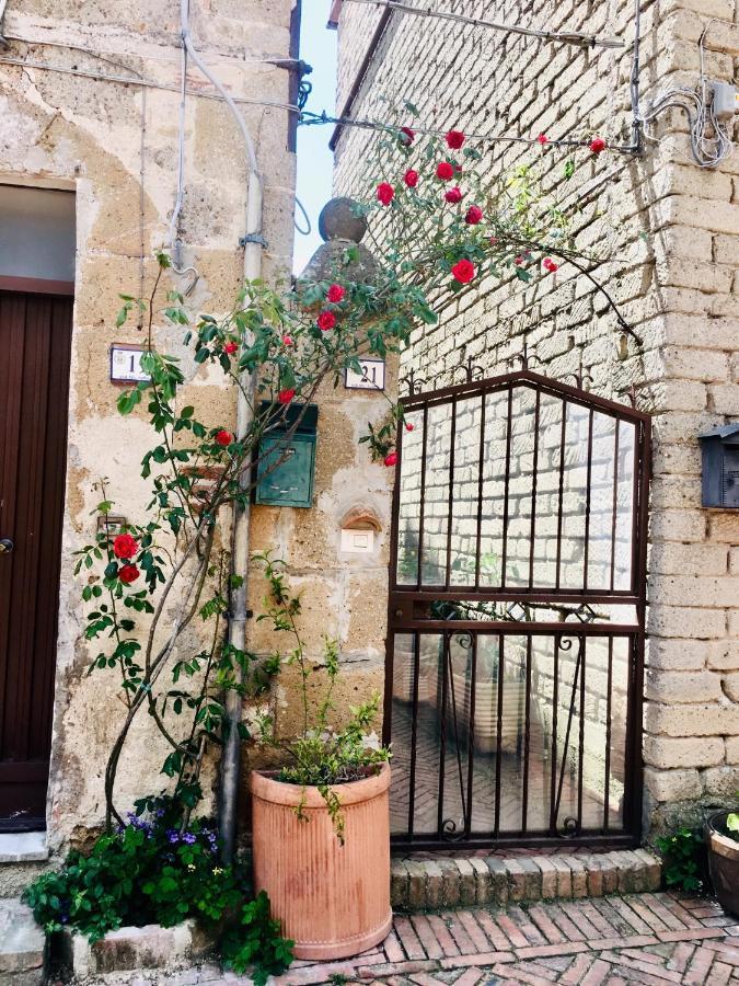 Notti Etrusche A Guest house