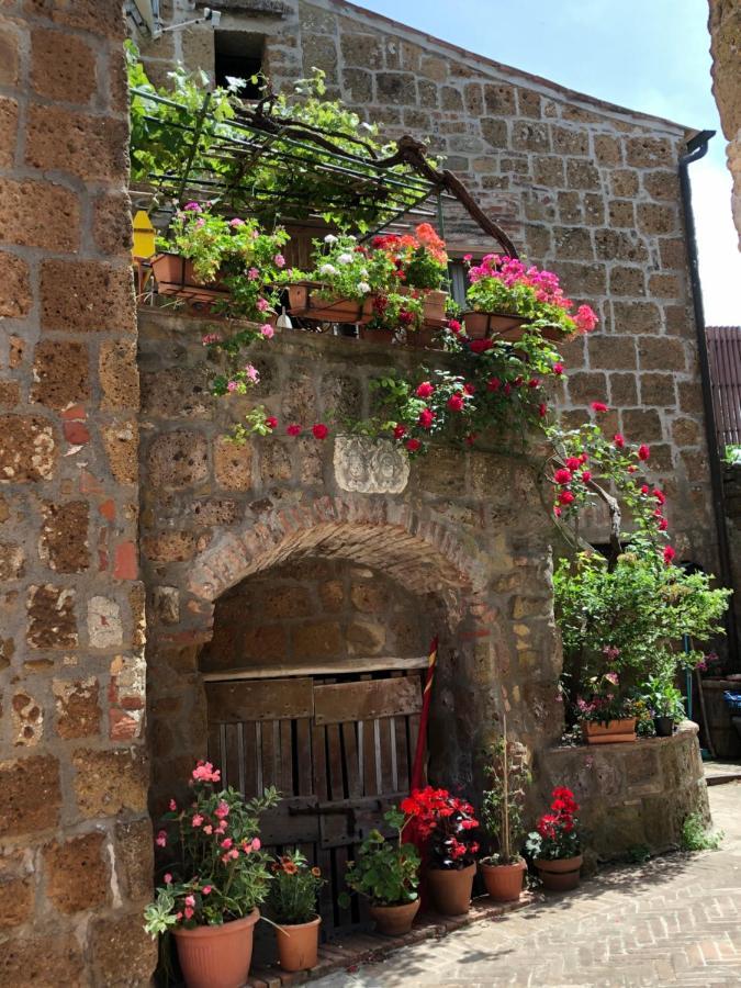 Notti Etrusche A Guest house *