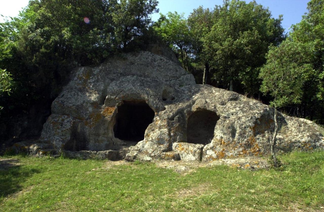Guest house Notti Etrusche A