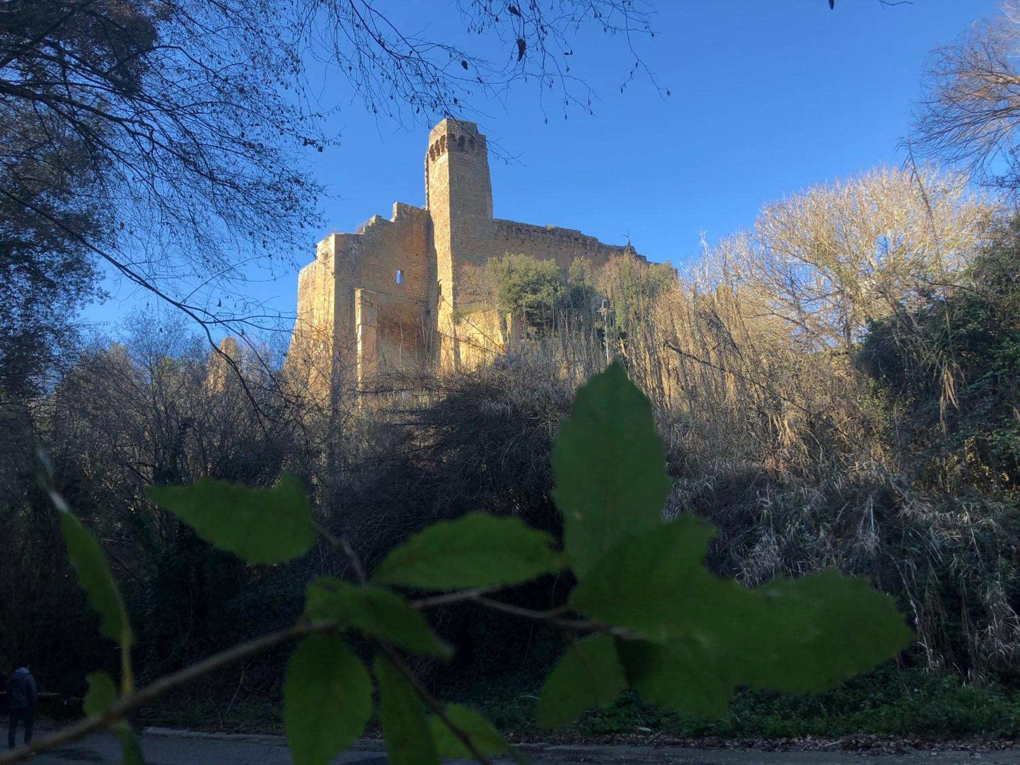 Guest house Notti Etrusche A