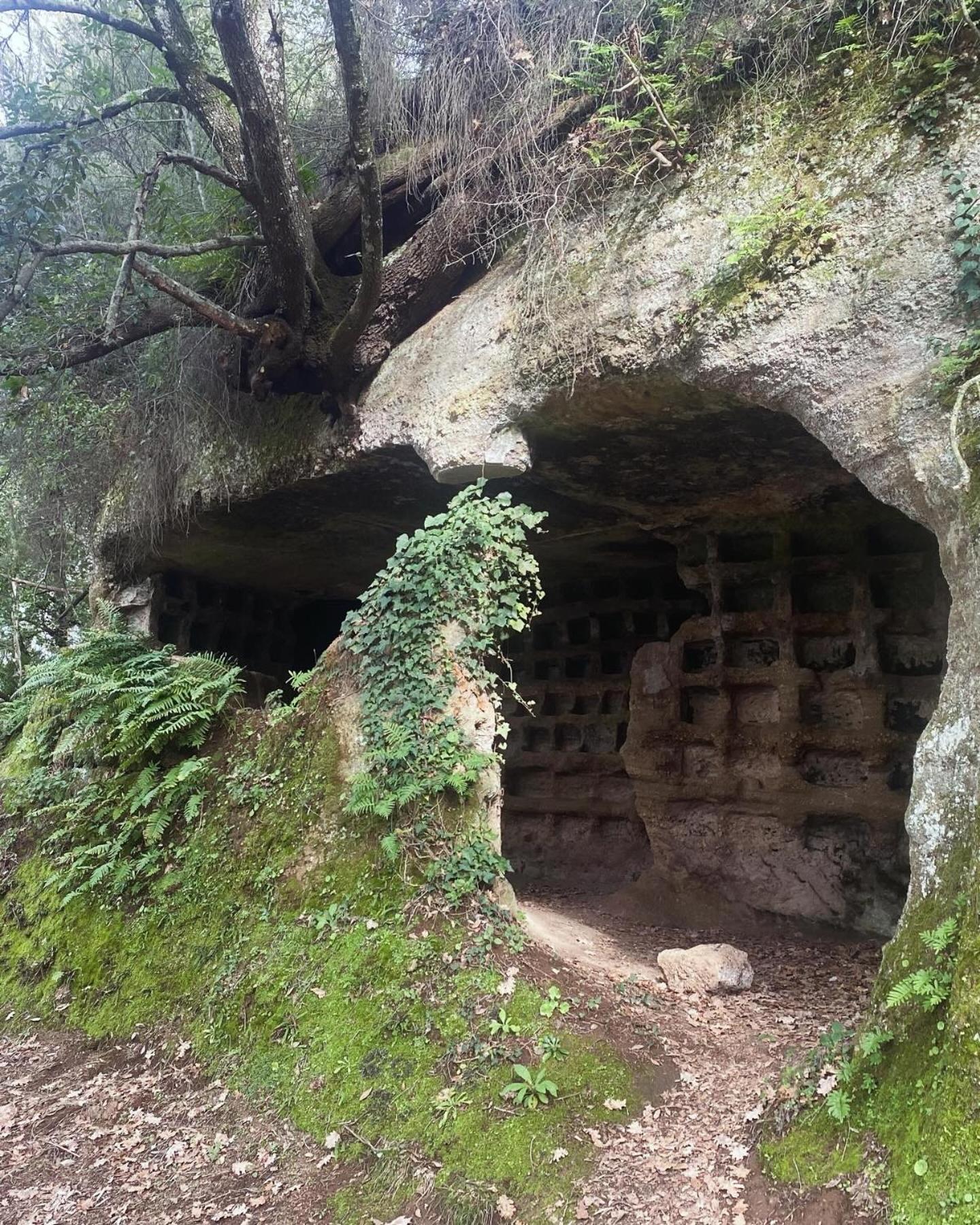 Notti Etrusche A Sovana